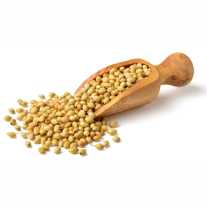 Coriander Whole (Dhaniya) – 100g
