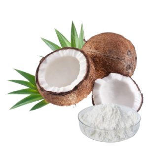 Coconut Milk Powder – 100g
