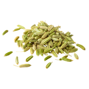 Saunf/Fennel Seed Whole  -100 gm